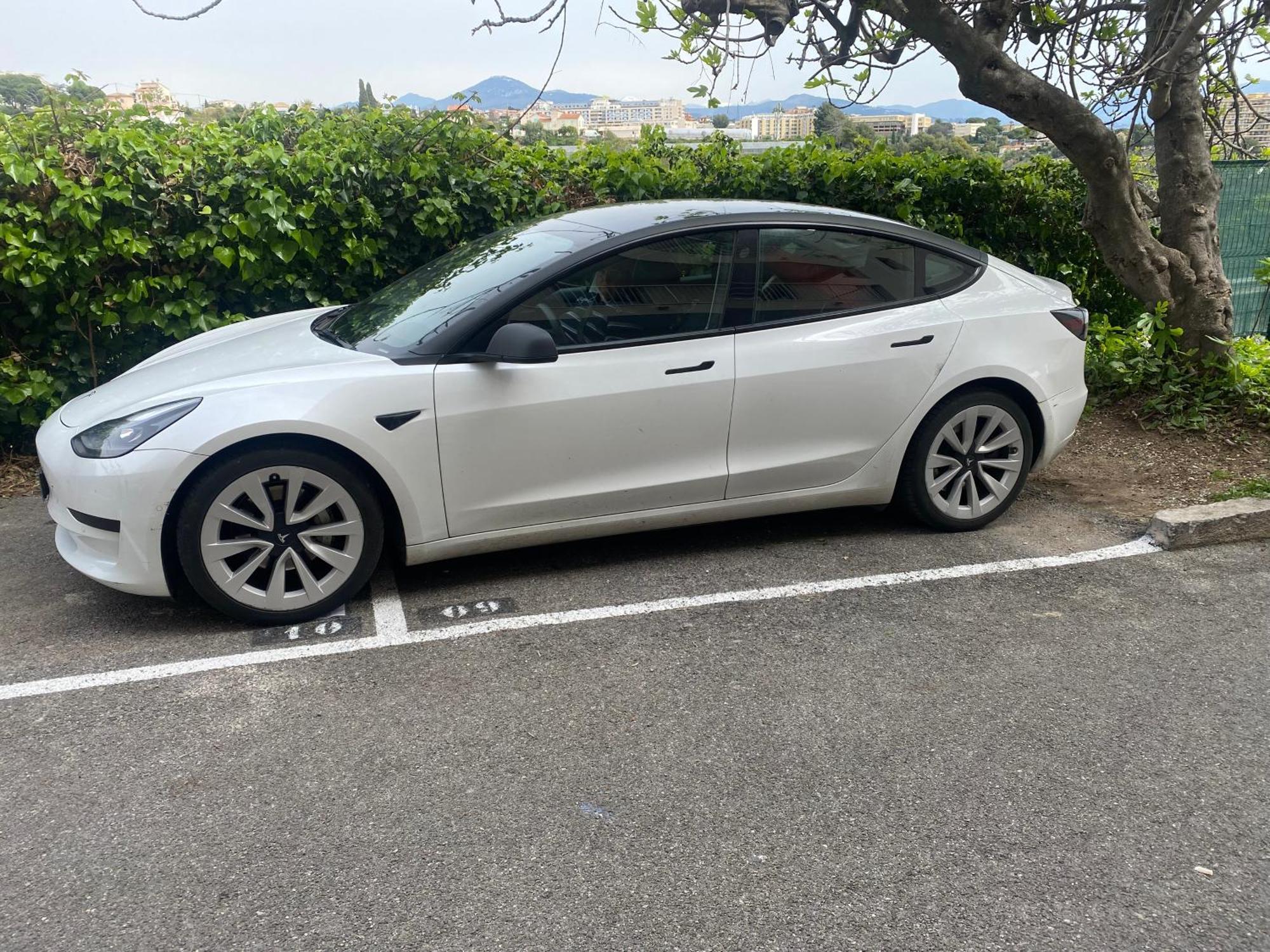Studio Jardin Fleuris Parking 尼斯 外观 照片